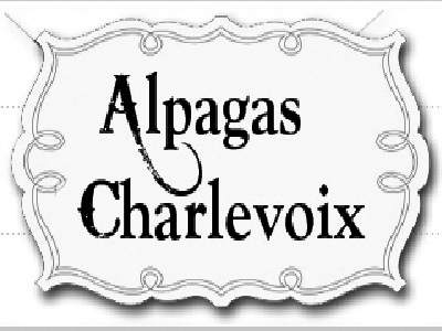 Alpagas Charlevoix